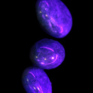 Three Blue Apatite polished stones 20-22g in UV light