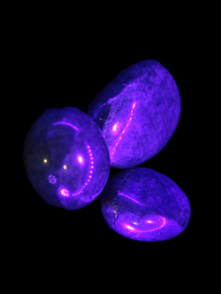 Three Blue Apatite polished stones 20-22g in UV light