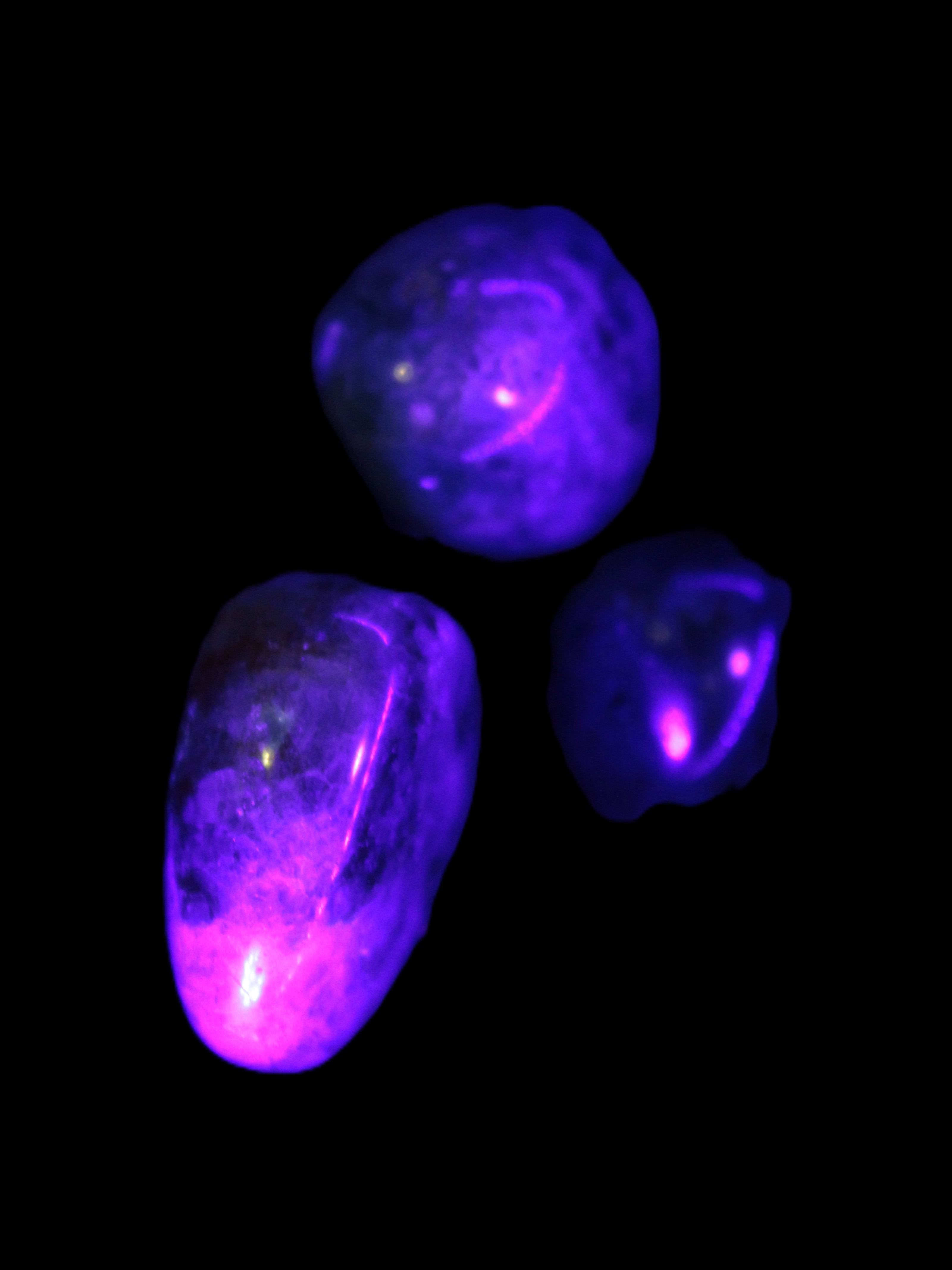 Three Blue Apatite polished stones 20-22g in UV light