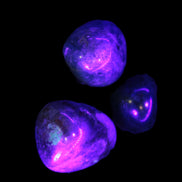 Three Blue Apatite polished stones 20-22g in UV light