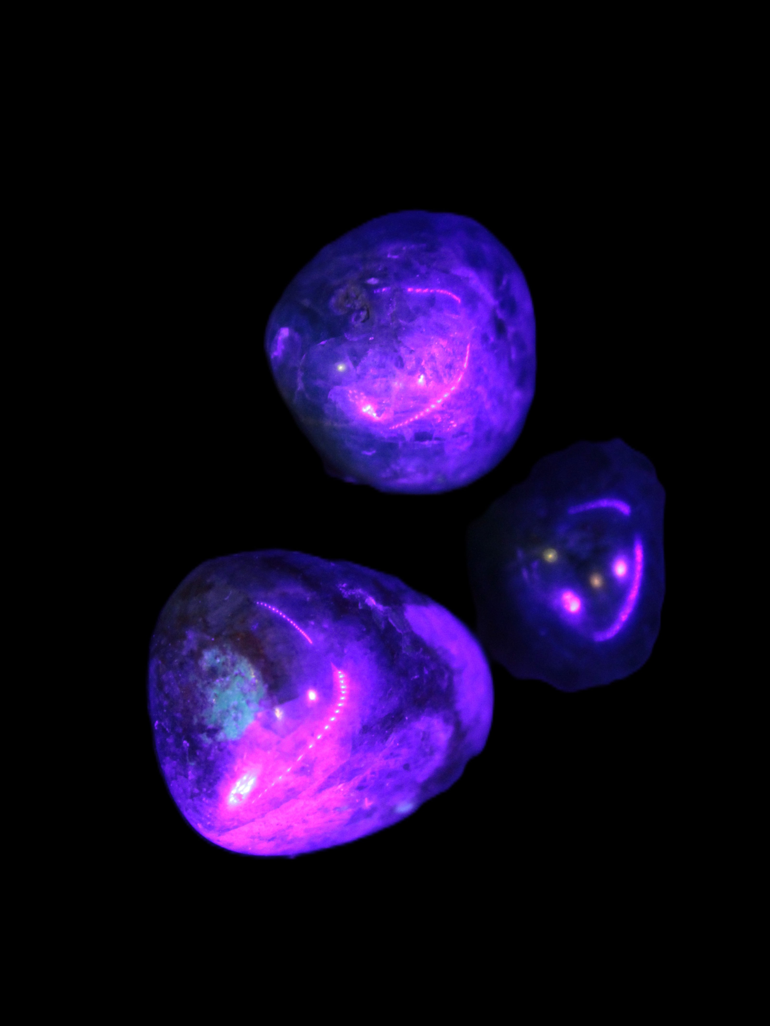 Three Blue Apatite polished stones 20-22g in UV light