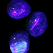 Three Blue Apatite polished stones 20-22g in UV light