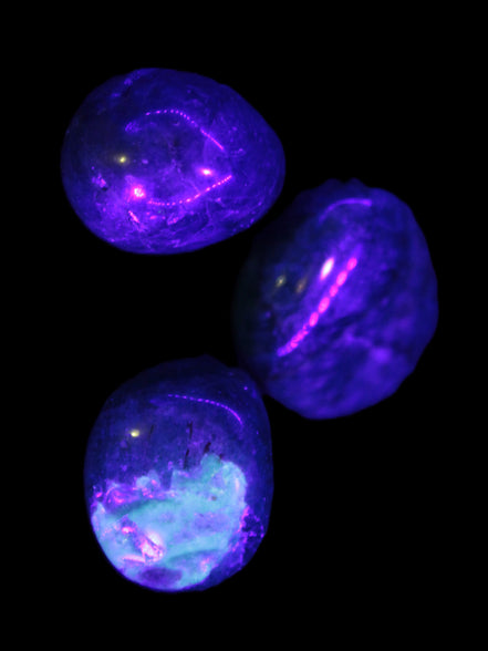 Three Blue Apatite polished stones 20-22g in UV light