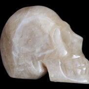 Smoky Quartz skull 346g Rocks and Things