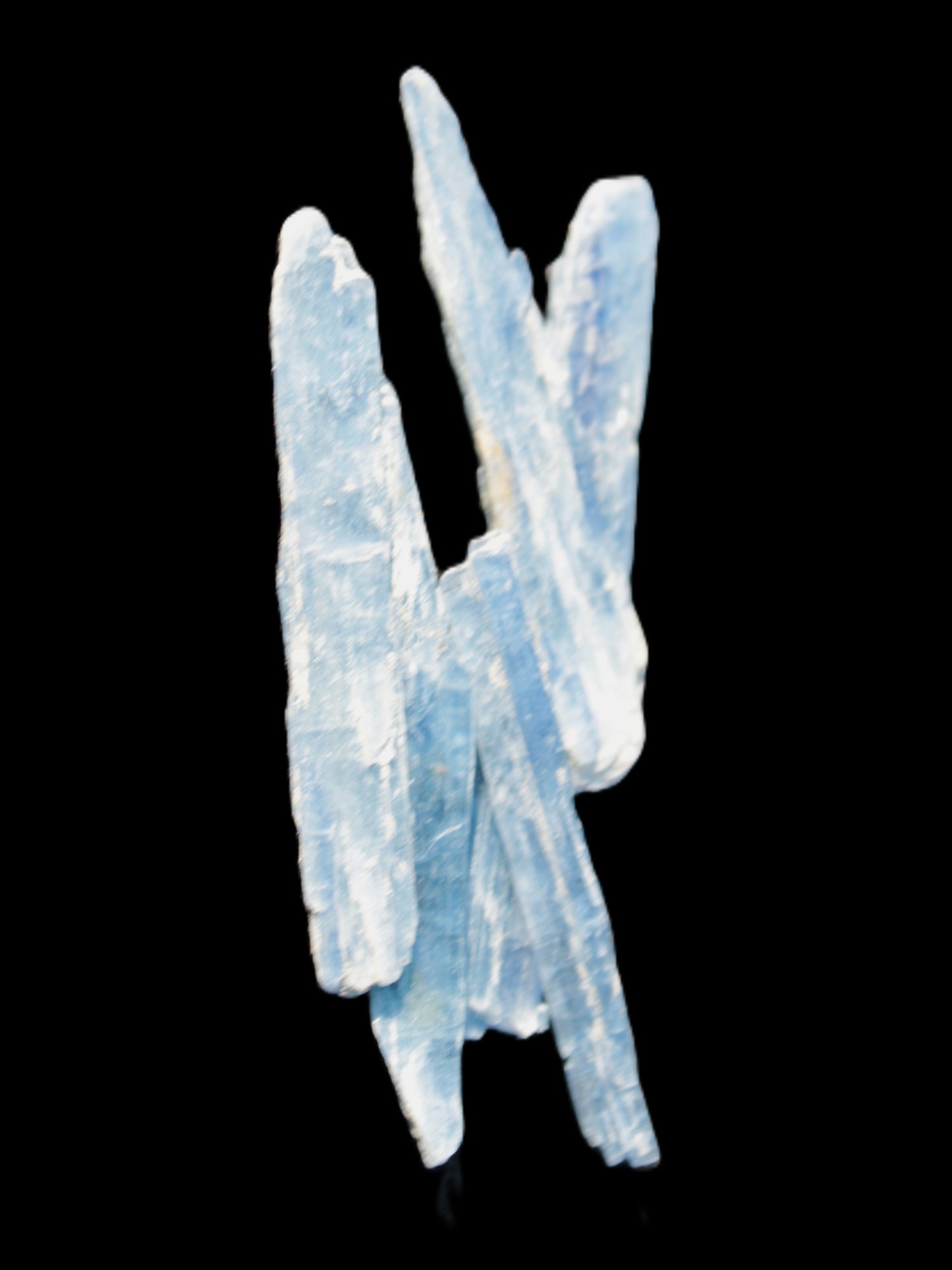 Five Kyanite Kyanite blades 35-40mm 5.8g Rocks and Things