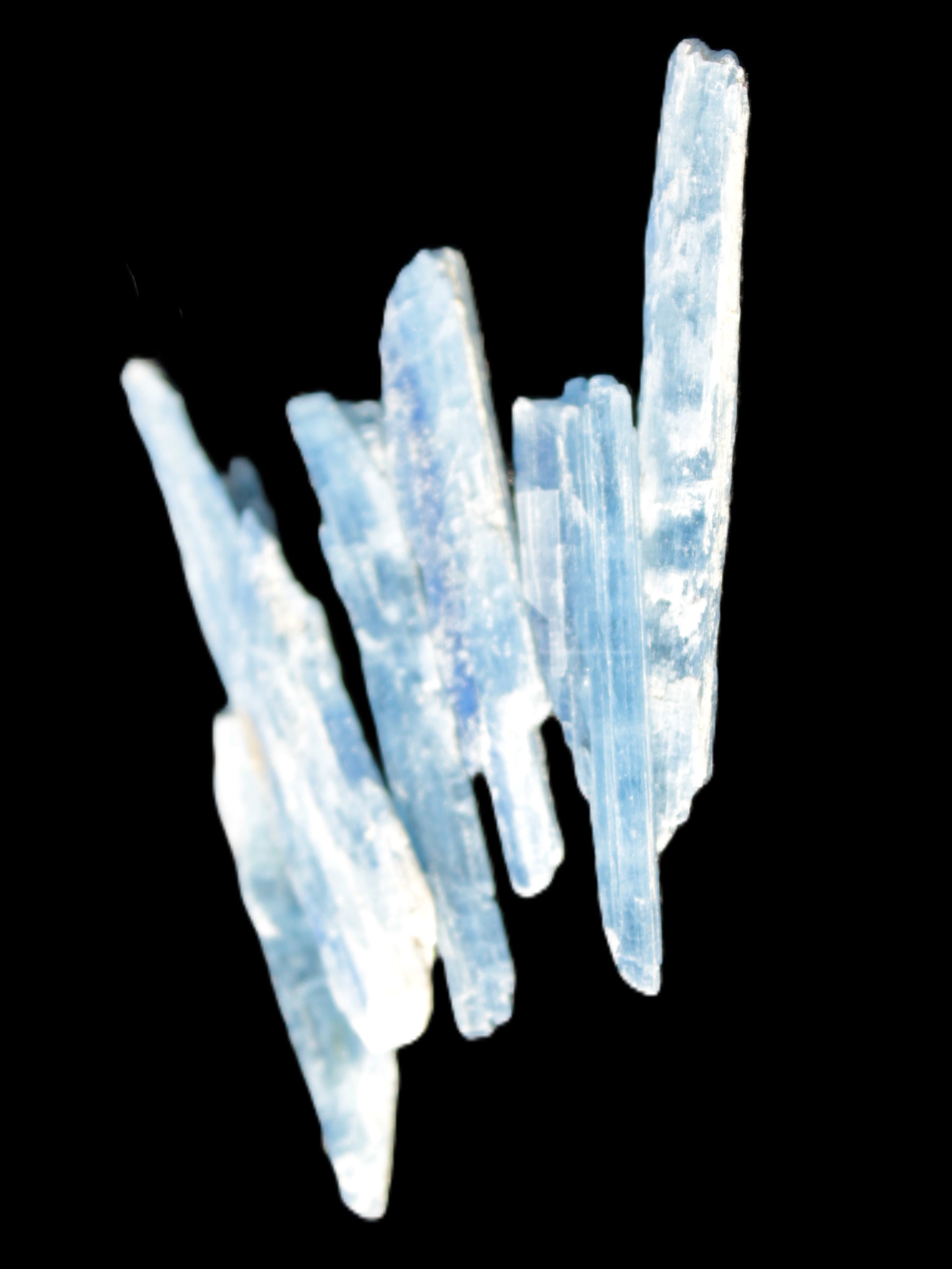 Five Kyanite Kyanite blades 35-40mm 5.8g Rocks and Things