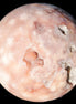 Sakura Agate sphere 98mm 1200g in sunshine - Rocks and Things Store