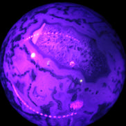 Moss Agate sphere 335g in UV light