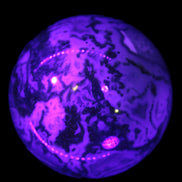 Moss Agate sphere 335g in UV light