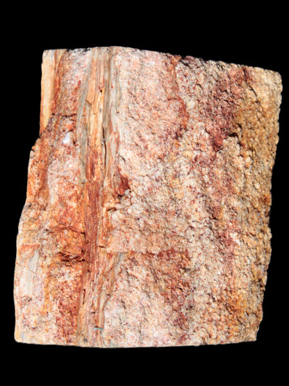 Petrified Wood specimen 65*45*78mm  455g Rocks and Things