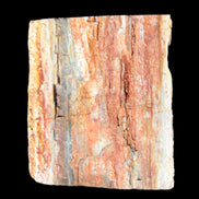 Petrified Wood specimen 65*45*78mm  455g Rocks and Things