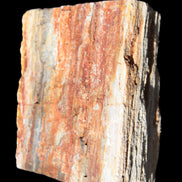 Petrified Wood specimen 65*45*78mm  455g Rocks and Things