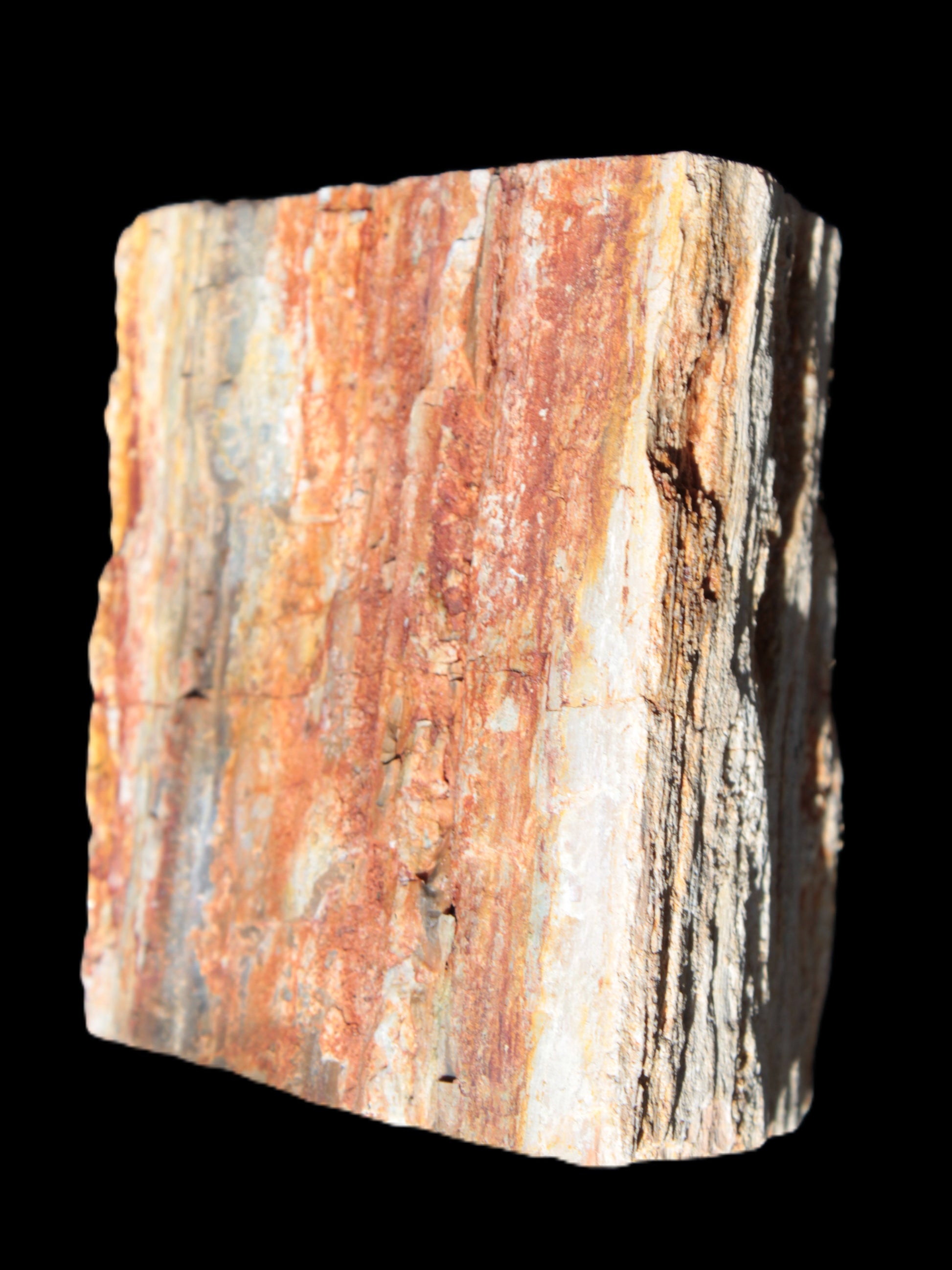 Petrified Wood specimen 65*45*78mm  455g Rocks and Things