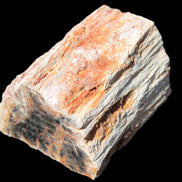 Petrified Wood specimen 65*45*78mm  455g Rocks and Things