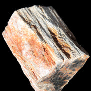 Petrified Wood specimen 65*45*78mm  455g Rocks and Things