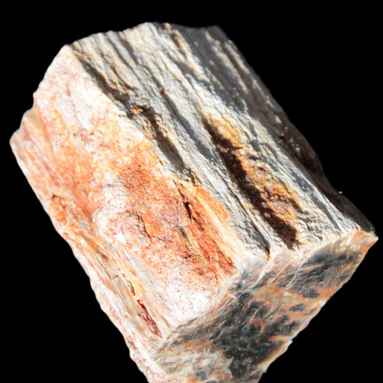 Petrified Wood specimen 65*45*78mm  455g Rocks and Things