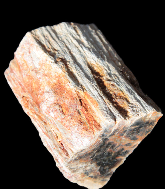 Petrified Wood specimen 65*45*78mm  455g Rocks and Things