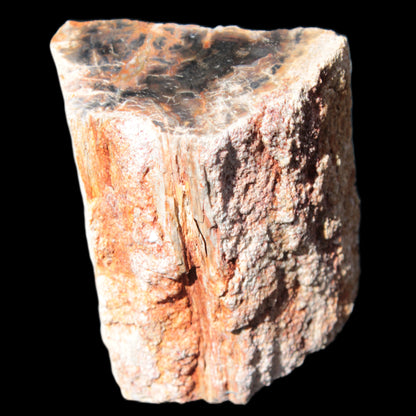 Petrified Wood specimen 65*45*78mm  455g Rocks and Things