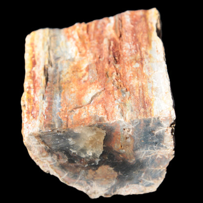 Petrified Wood specimen 65*45*78mm  455g Rocks and Things