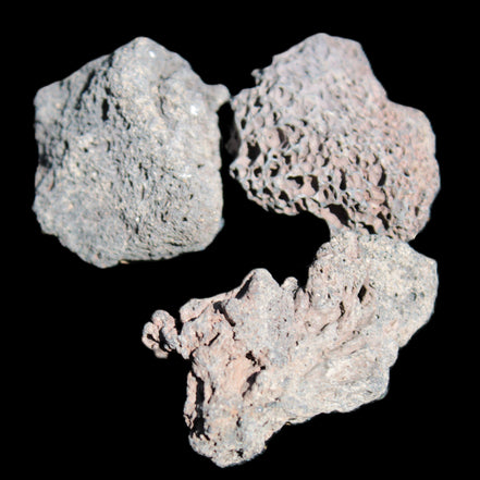 Vesicular Basalt 2/3 stones 22-41mm 18-24g Rocks and Things Store