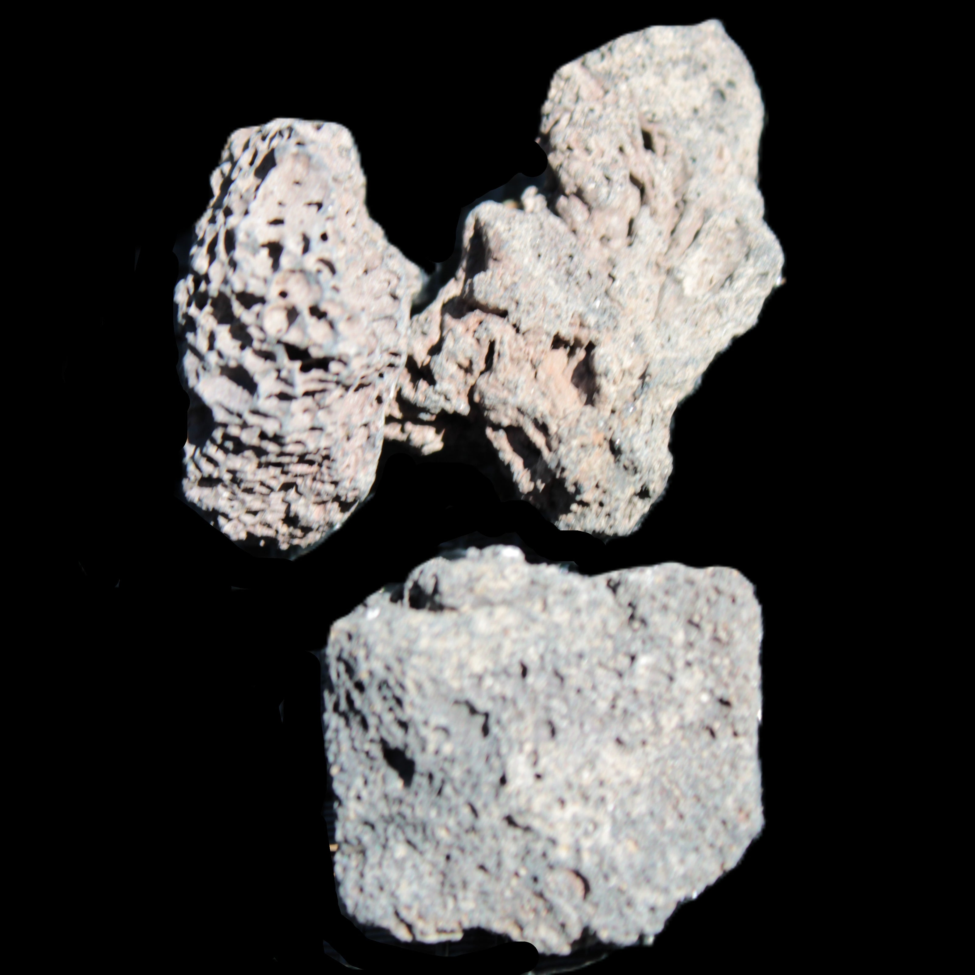 Vesicular Basalt 2/3 stones 22-41mm 18-24g Rocks and Things Store