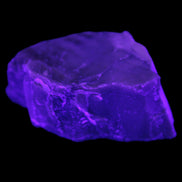 Petrified wood natural chunks 43-50mm 30-35g Rocks and Things