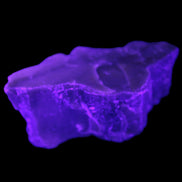 Petrified wood natural chunks 43-50mm 30-35g Rocks and Things