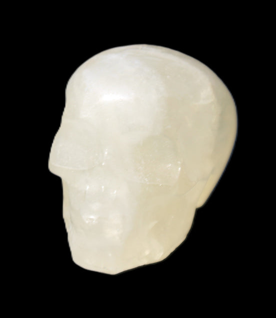 Citrine skull 32*48*35mm 73g in sunlight - Rocks and Things Store