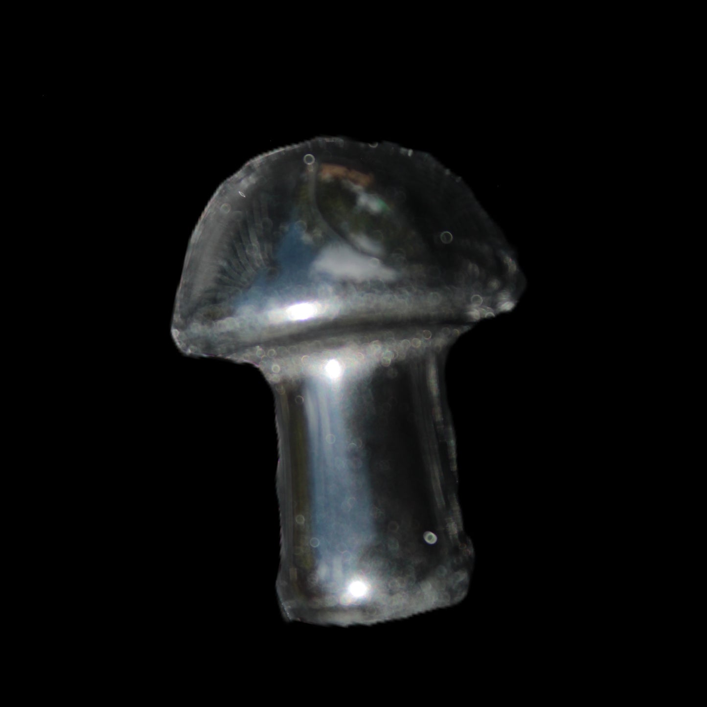 Black Obsidian mushroom 20mm  3-4g Rocks and Things Store