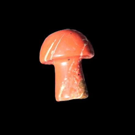 Red Jasper mushroom 4-5g Rocks and Things
