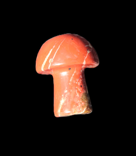 Red Jasper mushroom 4-5g Rocks and Things