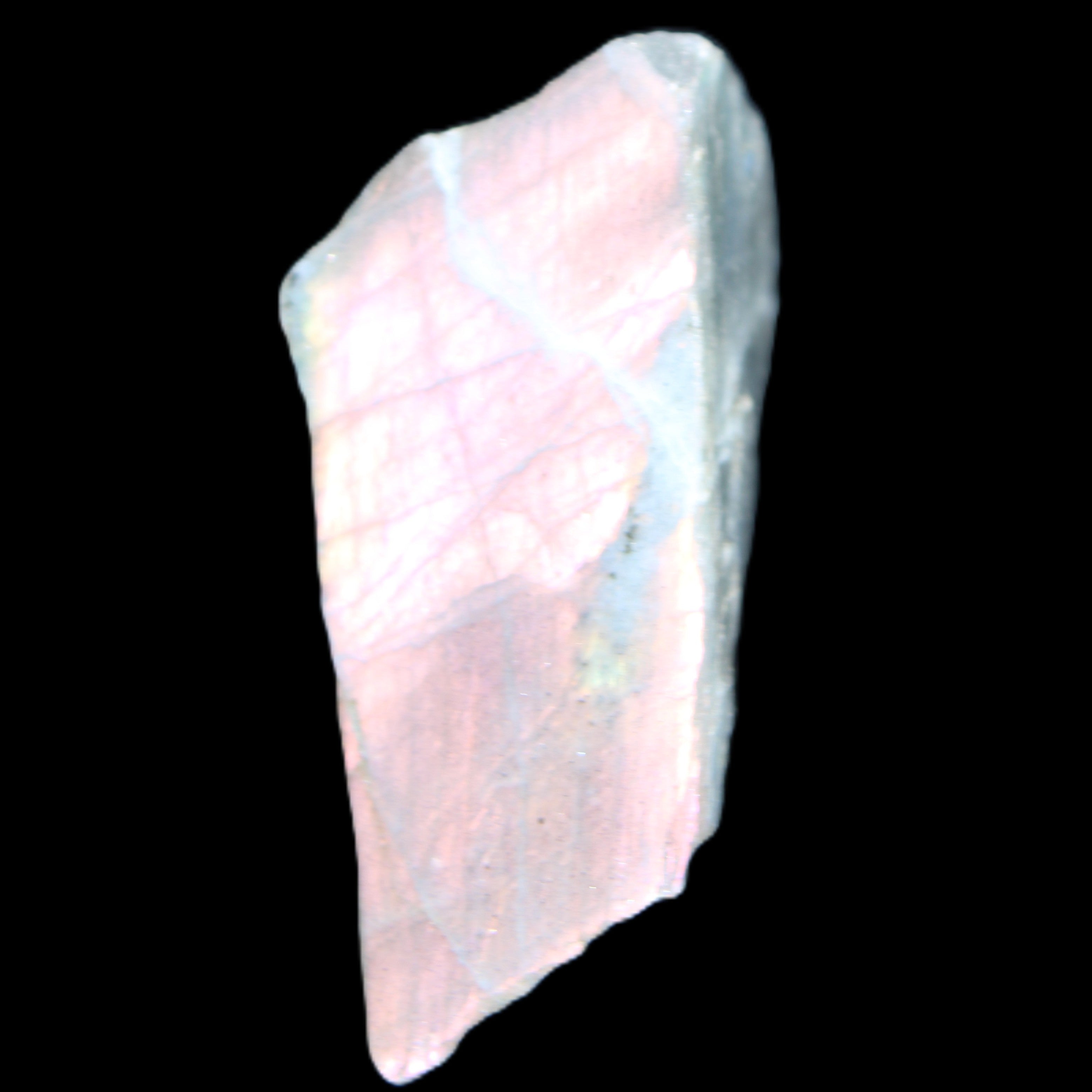 Violet flash Labradorite rough and polished 47g in sunlight - Rocks and Things Store