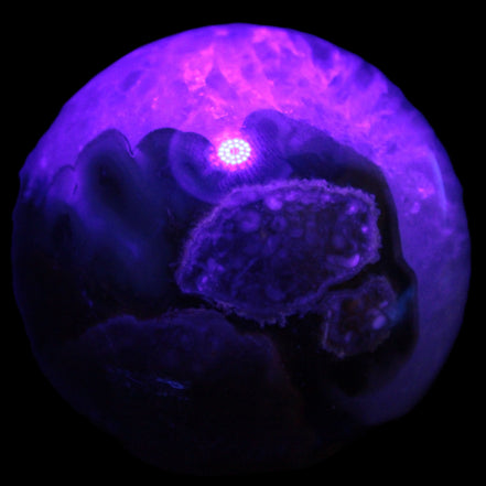 Volcano Agate sphere 63mm 362g Rocks and Things