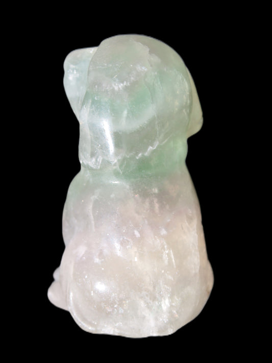 Fluorite hand-carved dog 105g Rocks and Things Store