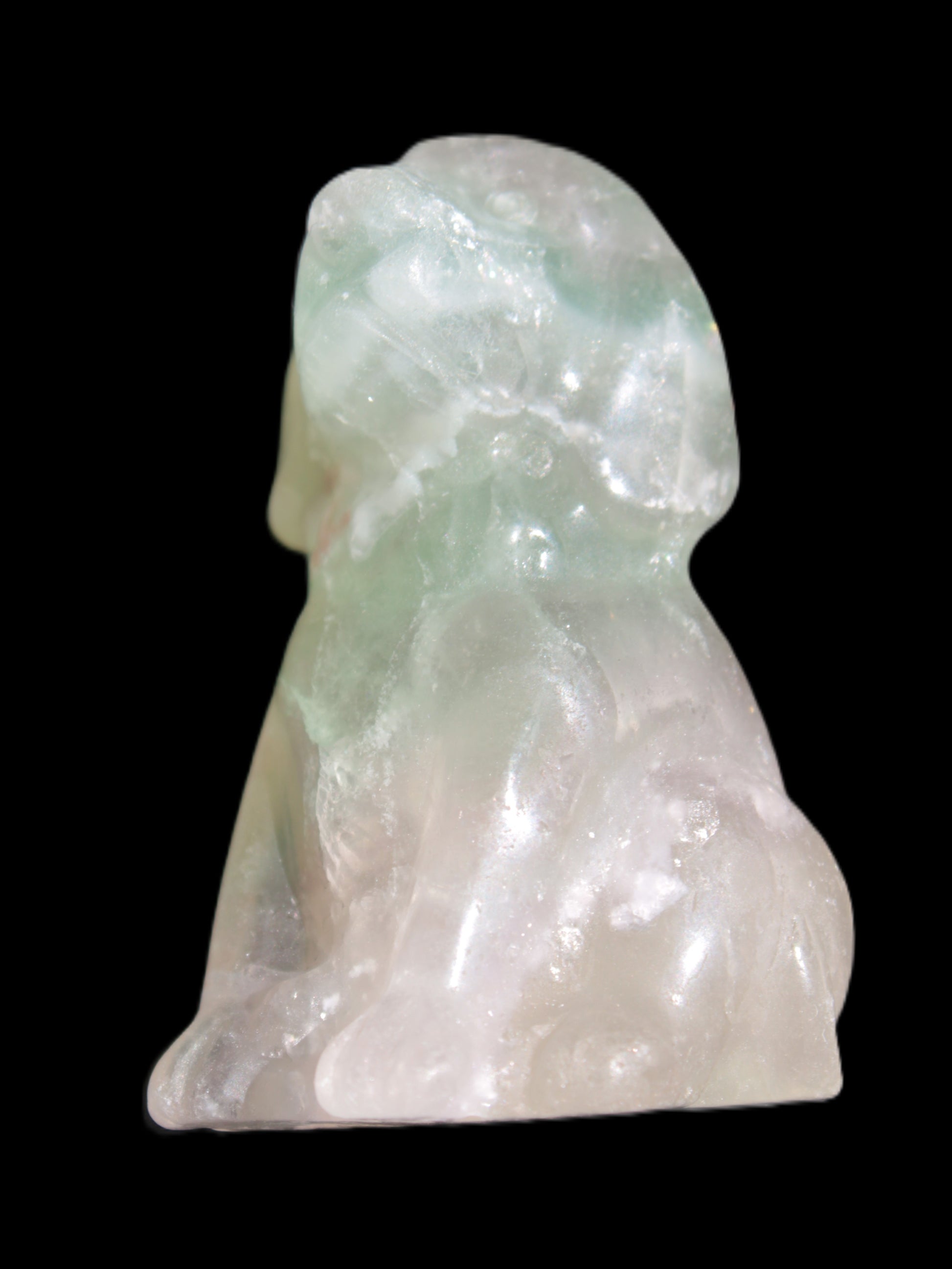 Fluorite hand-carved dog 105g Rocks and Things Store