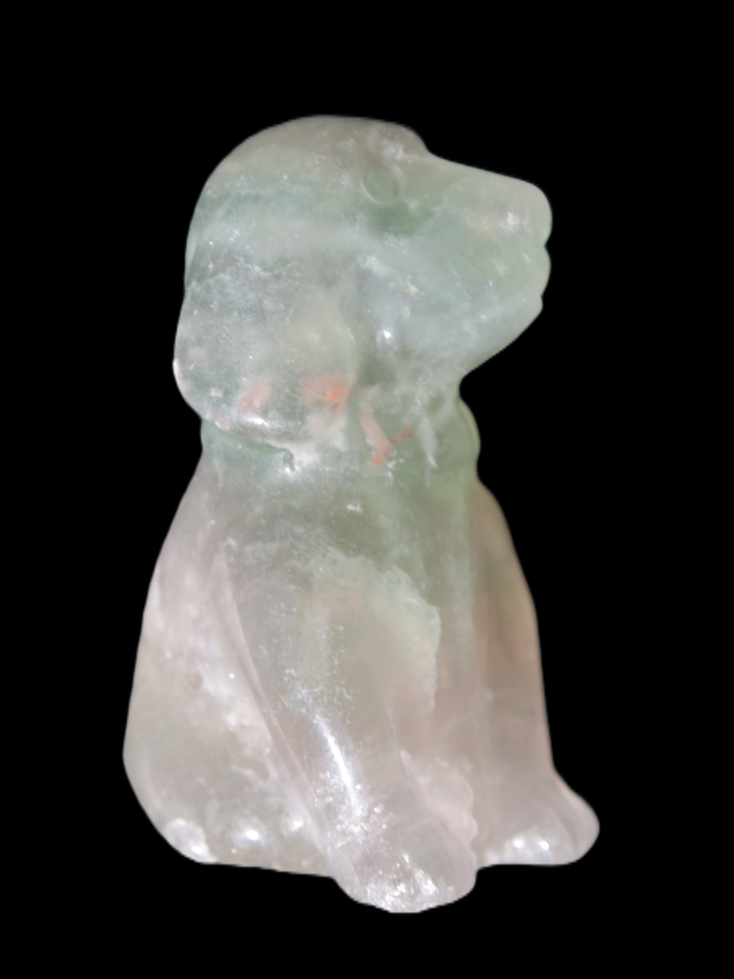 Fluorite hand-carved dog 105g Rocks and Things Store