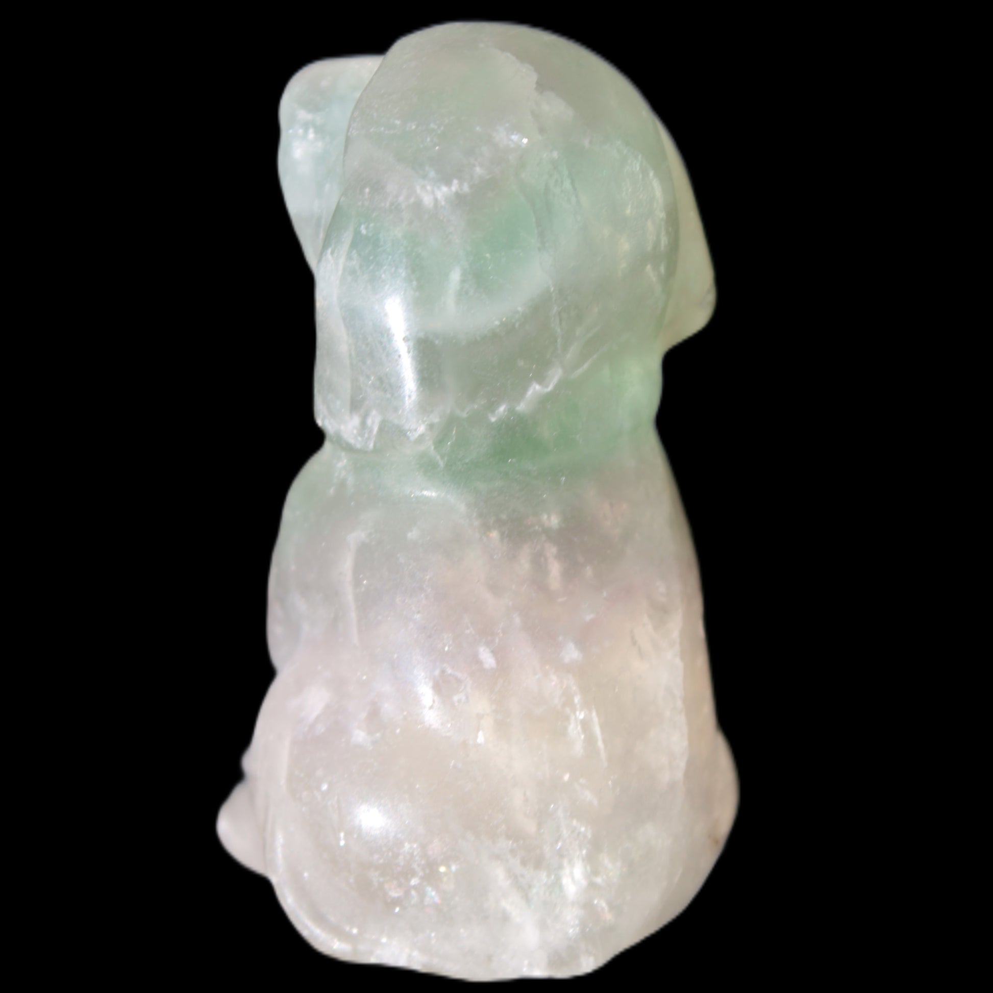 Fluorite hand-carved dog 105g Rocks and Things Store