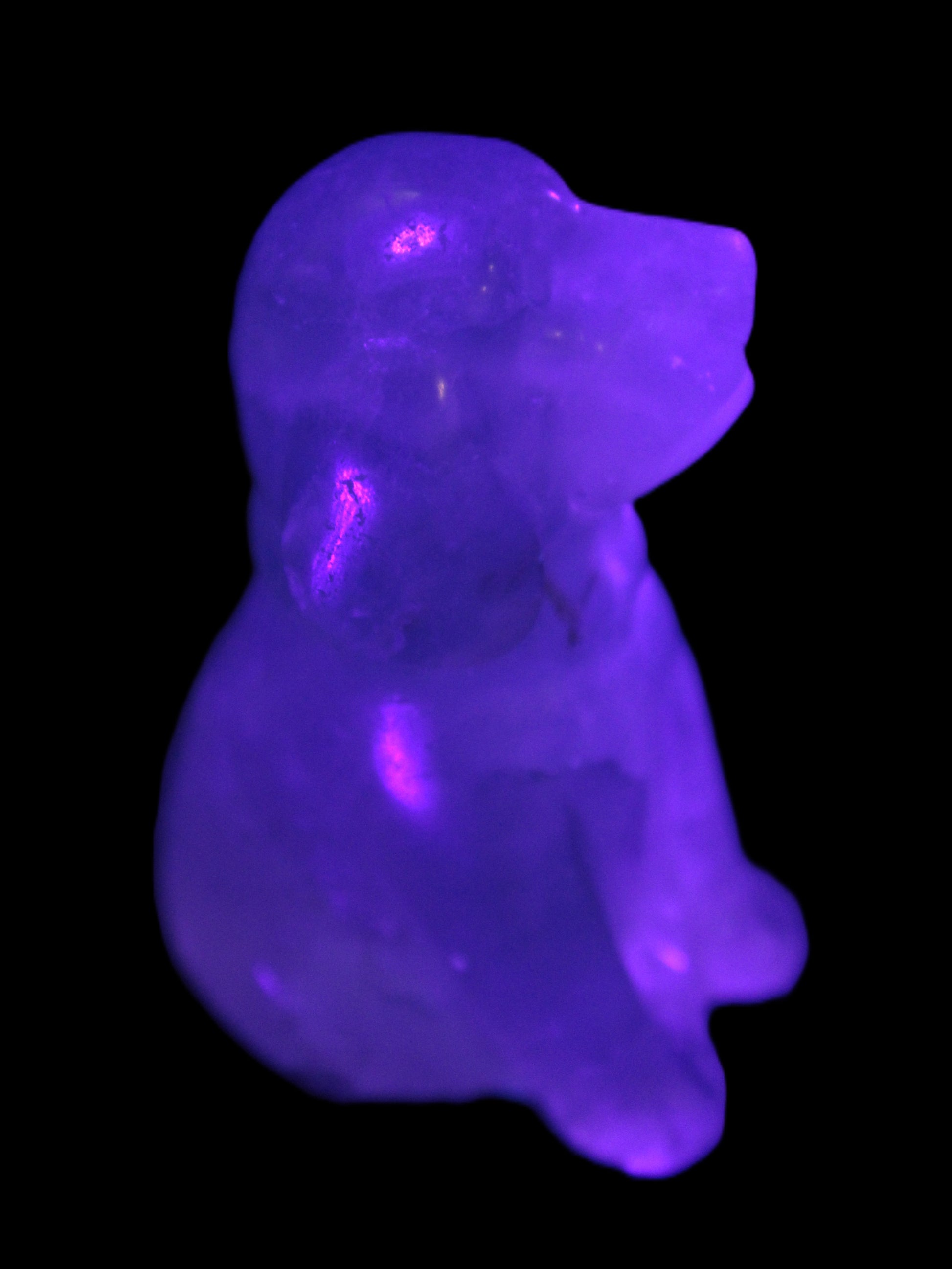 Fluorite hand-carved dog 105g Rocks and Things Store