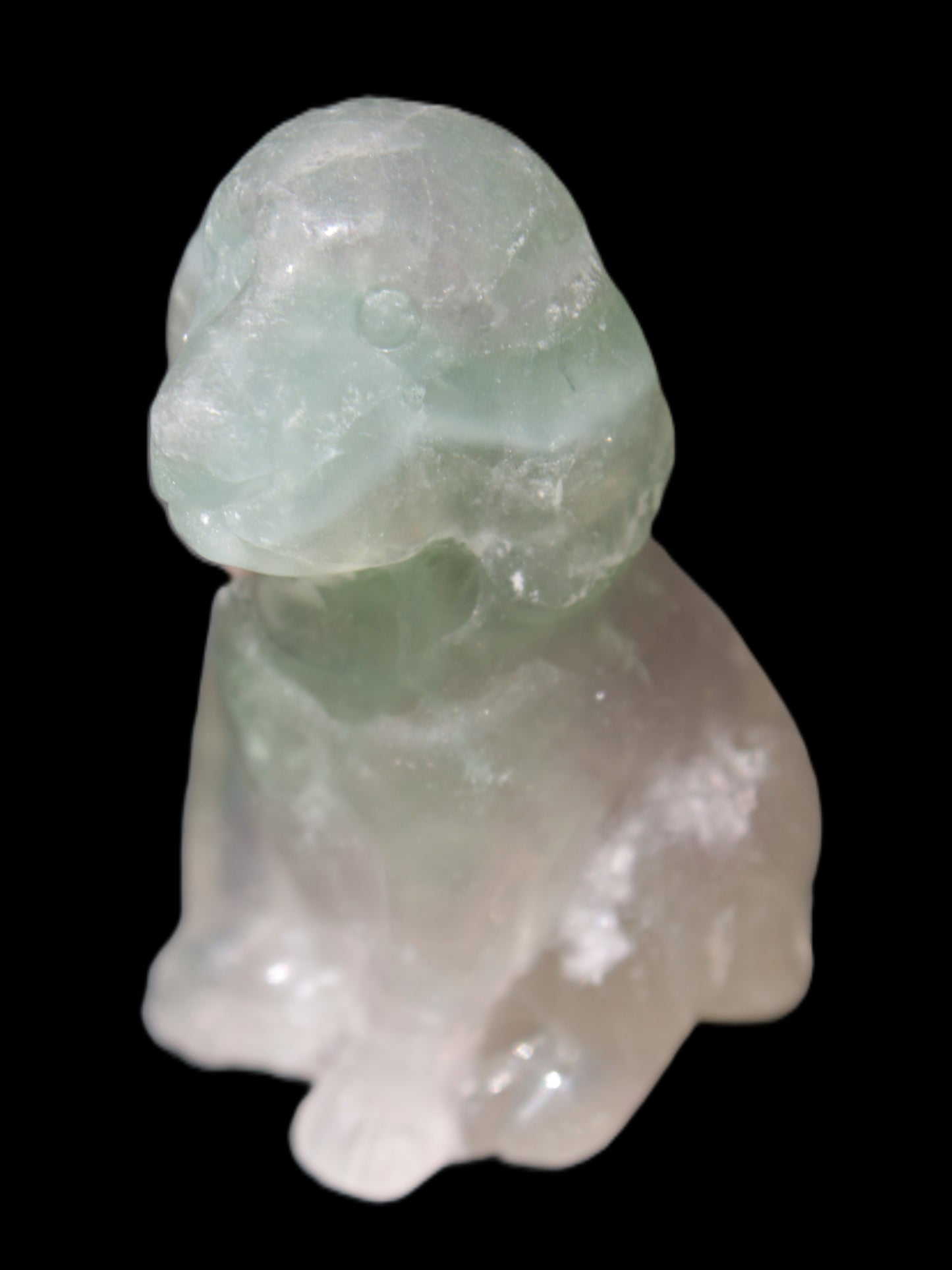 Fluorite hand-carved dog 105g Rocks and Things Store