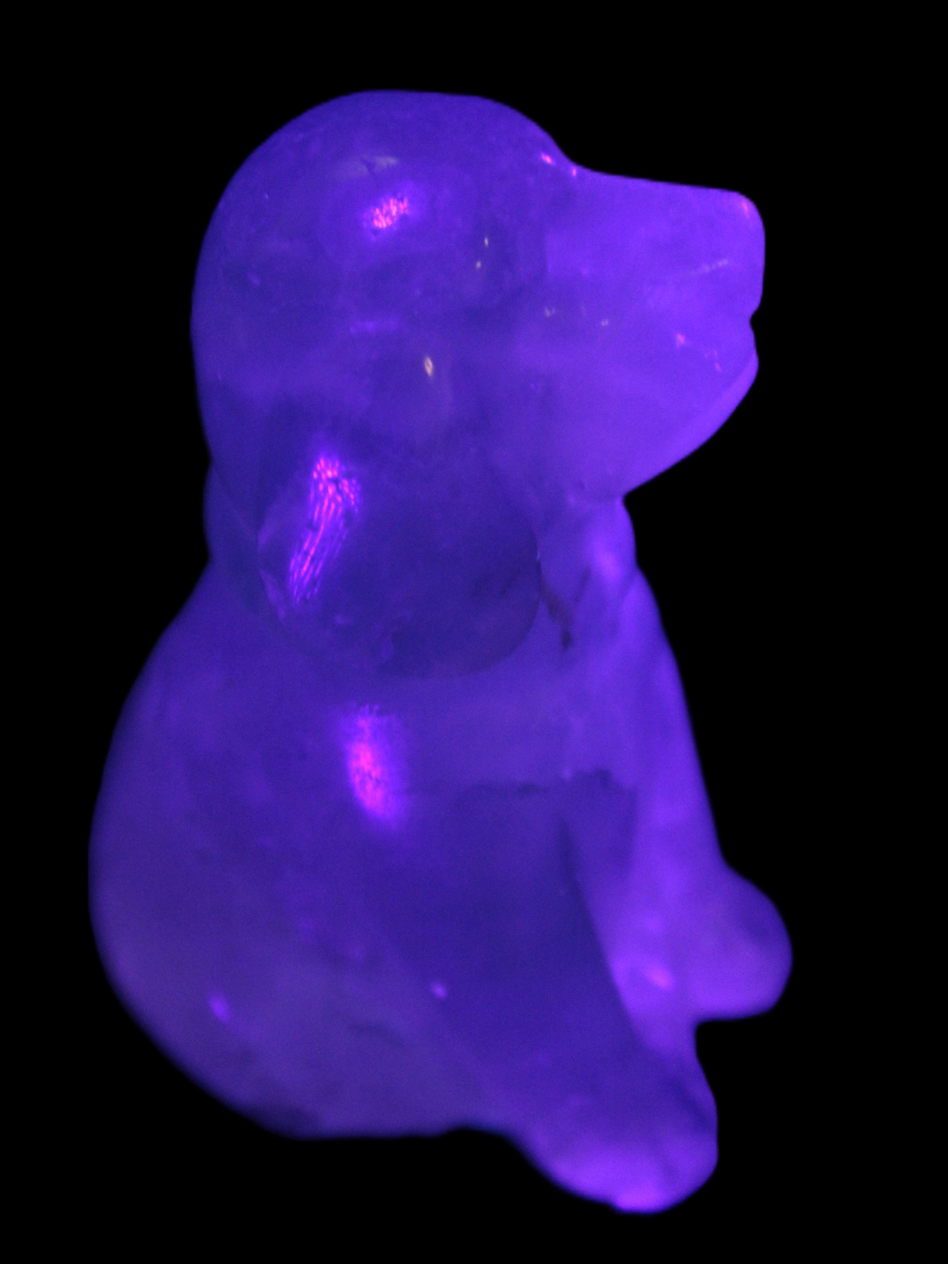 Fluorite hand-carved dog 105g Rocks and Things Store