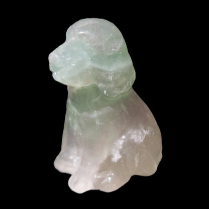 Fluorite hand-carved dog 105g Rocks and Things Store