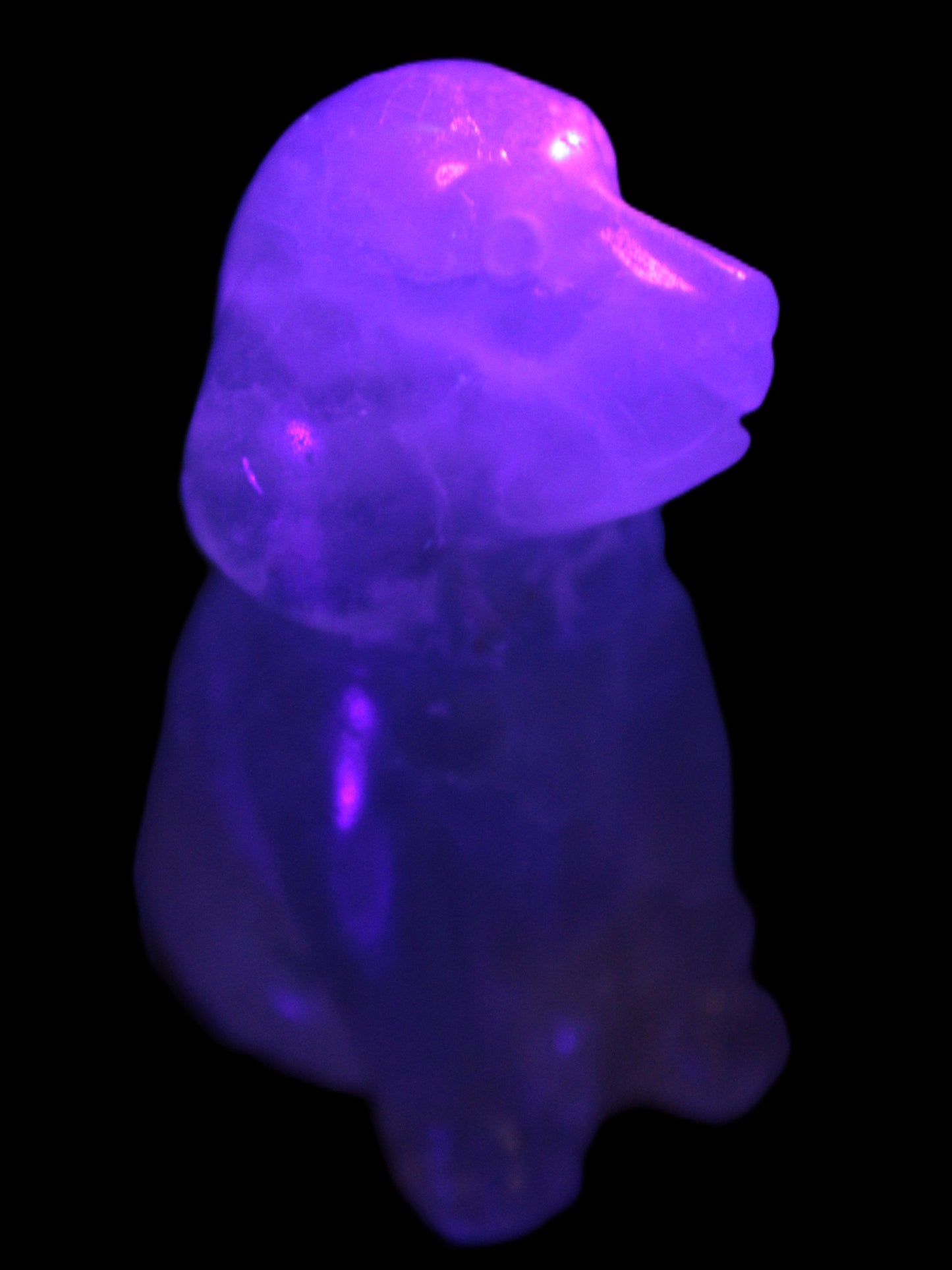 Fluorite hand-carved dog 105g Rocks and Things Store