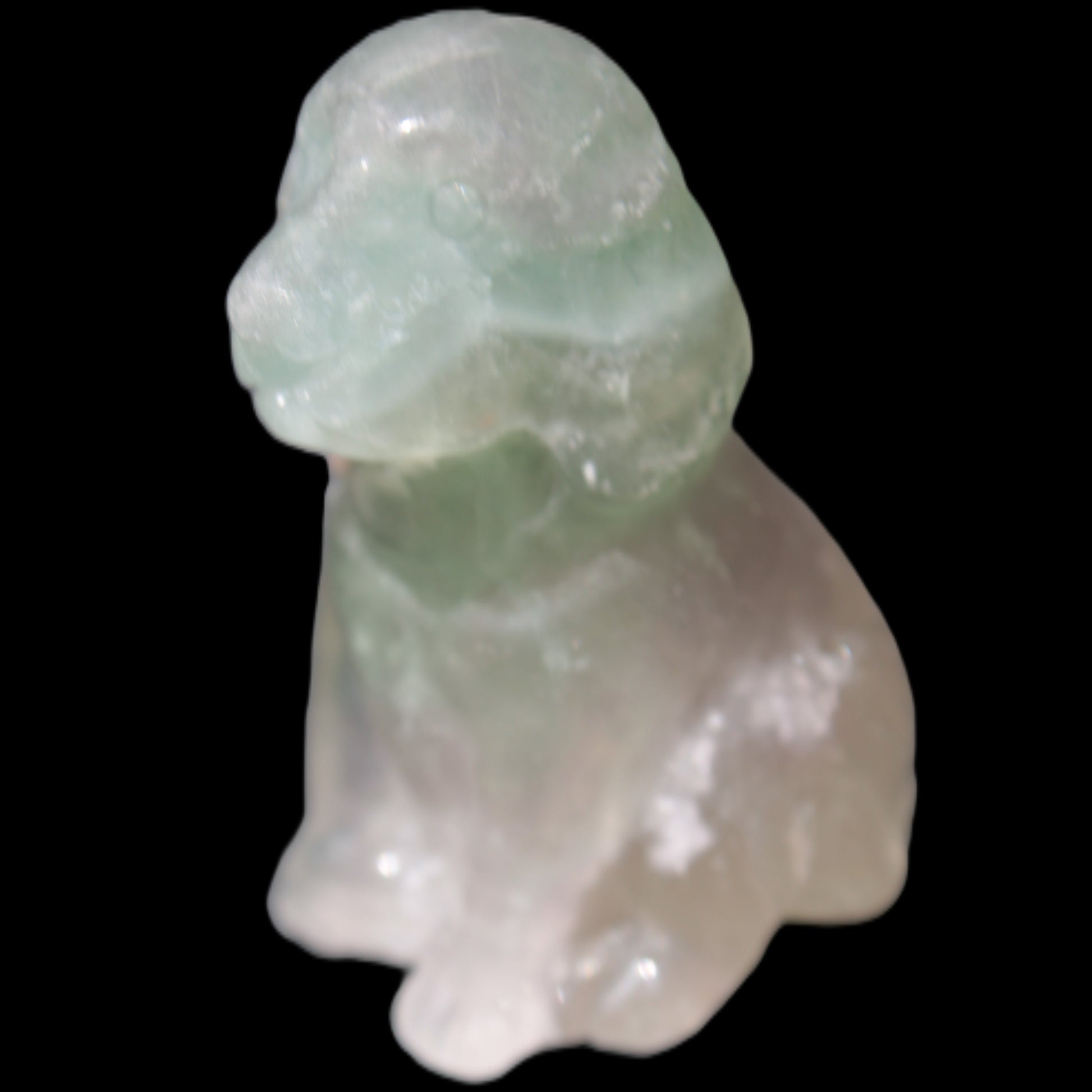 Fluorite hand-carved dog 105g Rocks and Things Store