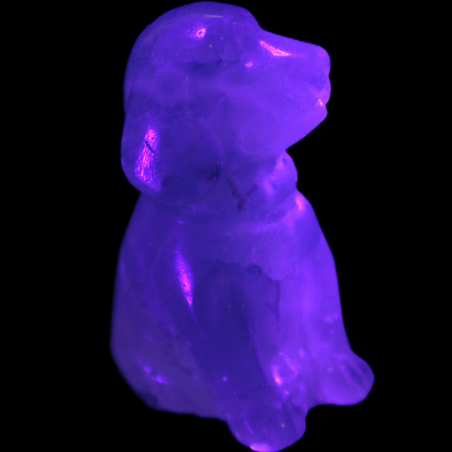 Fluorite hand-carved dog 105g Rocks and Things Store