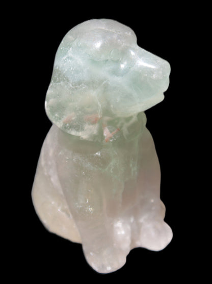 Fluorite hand-carved dog 105g Rocks and Things Store