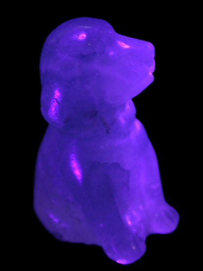 Fluorite hand-carved dog 105g Rocks and Things Store