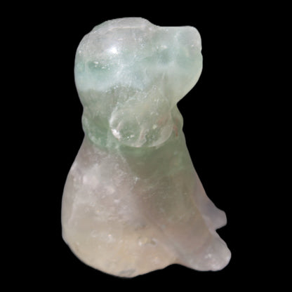 Fluorite hand-carved dog 105g Rocks and Things Store