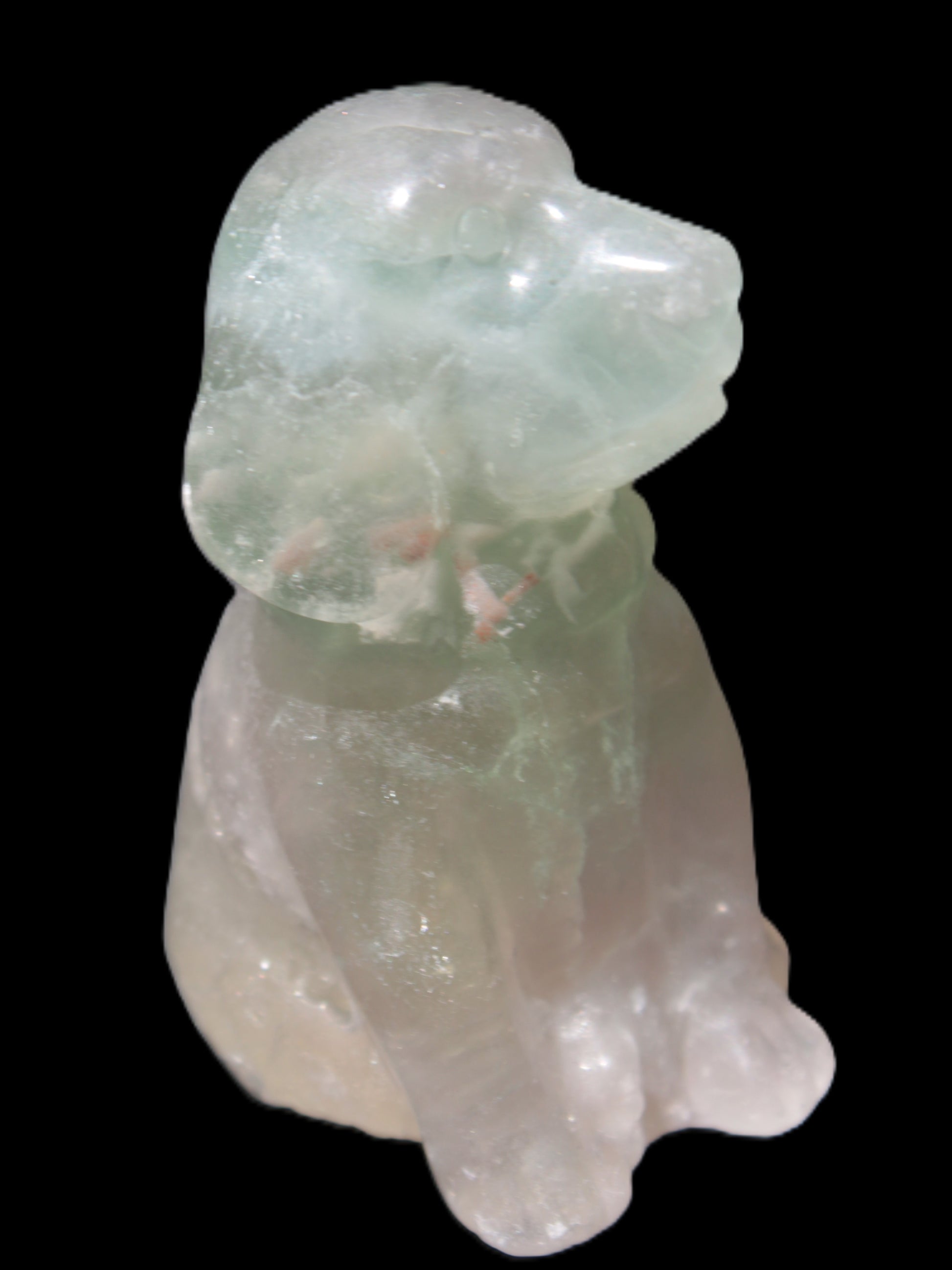 Fluorite hand-carved dog 105g Rocks and Things Store