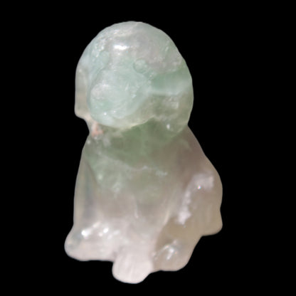 Fluorite hand-carved dog 105g Rocks and Things Store