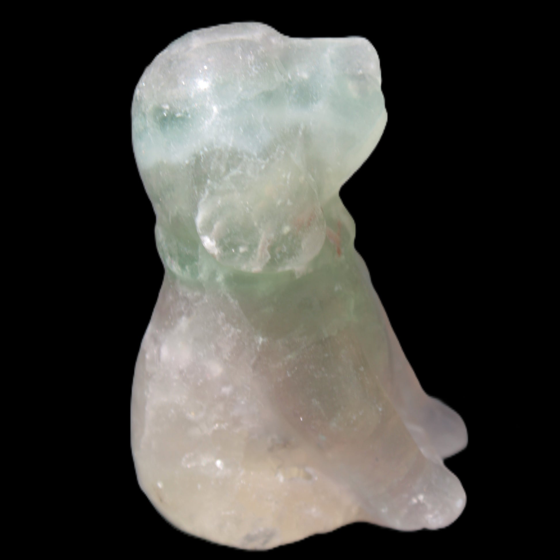 Fluorite hand-carved dog 105g Rocks and Things Store